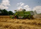 Claas Drescher 14